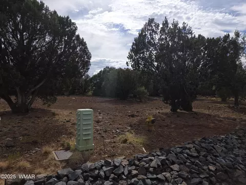 1920 Passage Dr #31, Show Low, AZ 85901