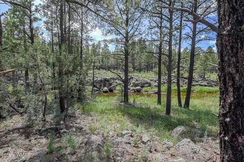 026 027 Birdsong Way, Lakeside, AZ 85929