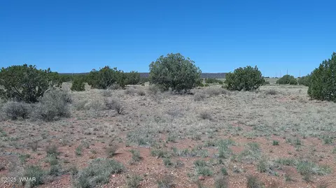 9671 Navajo Ln, Snowflake, AZ 85937