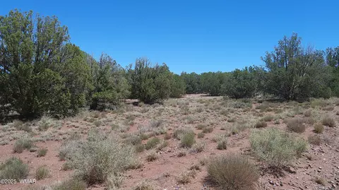 4409 E Pinto Rd, Snowflake, AZ 85937 photo 11