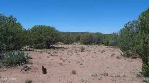 4409 E Pinto Rd, Snowflake, AZ 85937 photo 15
