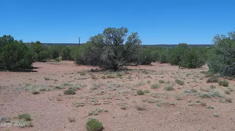 4409 E Pinto Rd, Snowflake, AZ 85937 photo 13