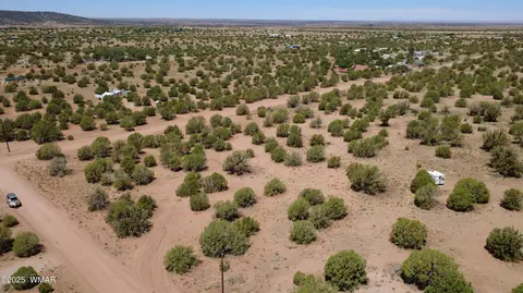 4409 E Pinto Rd, Snowflake, AZ 85937 photo 5