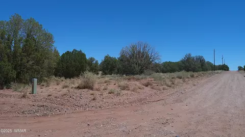 4409 E Pinto Rd, Snowflake, AZ 85937 photo 10