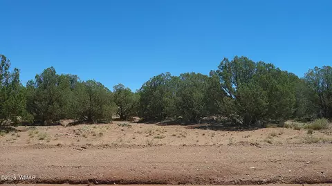 4409 E Pinto Rd, Snowflake, AZ 85937 photo 16