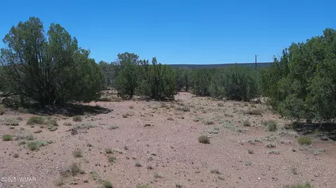 4409 E Pinto Rd, Snowflake, AZ 85937 photo 14