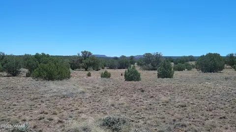 4247 E Pinto Rd, Snowflake, AZ 85937