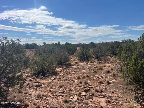 002 Old Woodruff Rd, Snowflake, AZ 85937