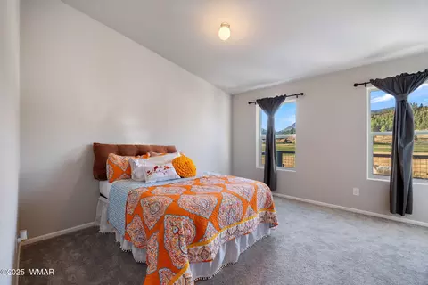 53 Co Rd 2092, Alpine, AZ 85920 photo 17