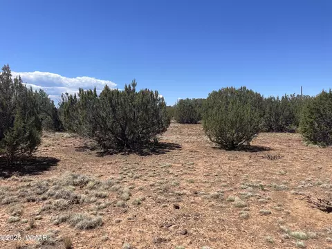 108 Colorado Ave, Concho, AZ 85924