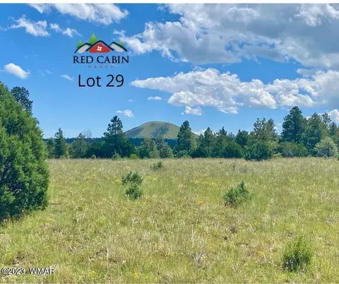 lot29 Red Cabin Rnch, Vernon, AZ 85940