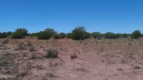 tbd Ranch Of The White Mountains10, Concho, AZ 85924 photo 11
