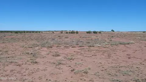 tbd Ranch Of The White Mountains10, Concho, AZ 85924 photo 15
