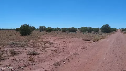 tbd Ranch Of The White Mountains10, Concho, AZ 85924 photo 9