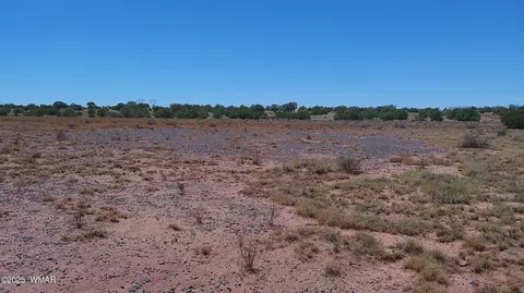 tbd Ranch Of The White Mountains10, Concho, AZ 85924 photo 12