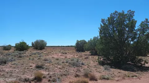 tbd Ranch Of The White Mountains10, Concho, AZ 85924 photo 20