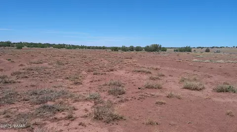 tbd Ranch Of The White Mountains10, Concho, AZ 85924 photo 14