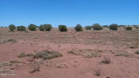 tbd Ranch Of The White Mountains10, Concho, AZ 85924 photo 17