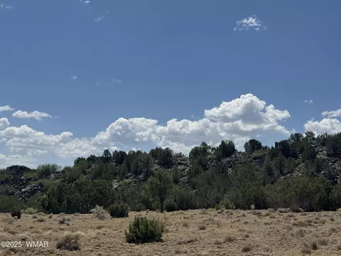 5 County Rd, Concho, AZ 85924 photo 6