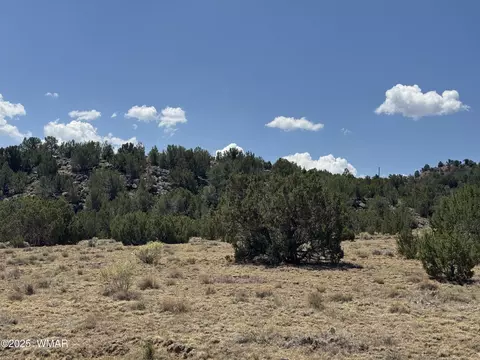 5 County Rd, Concho, AZ 85924 photo 7