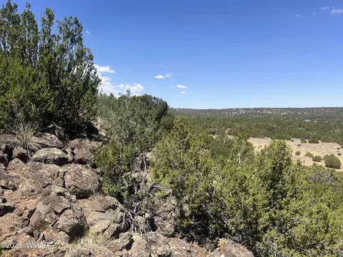 5 County Rd, Concho, AZ 85924 photo 2