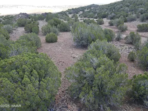 5 County Rd, Concho, AZ 85924 photo 12
