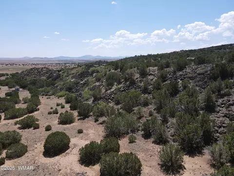 5 County Rd, Concho, AZ 85924 photo 4