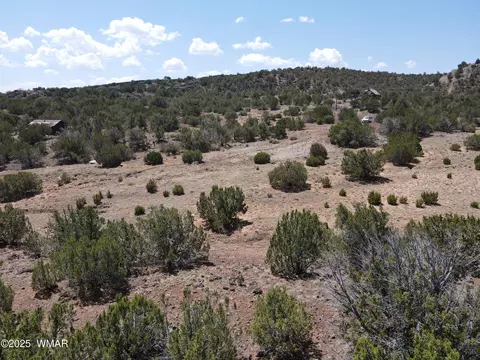 5 County Rd, Concho, AZ 85924 photo 3