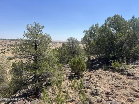 5 County Rd, Concho, AZ 85924