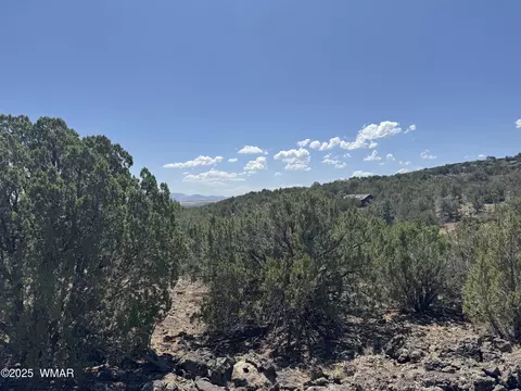 5 County Rd, Concho, AZ 85924 photo 8