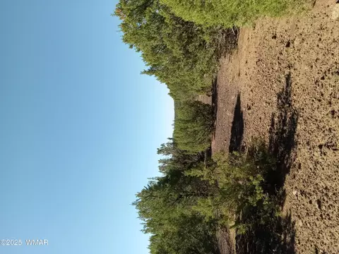 tbd County Road 3197 #LOT 46, Vernon, AZ 85940