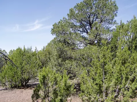 lot11 Uphill Trl, Vernon, AZ 85940