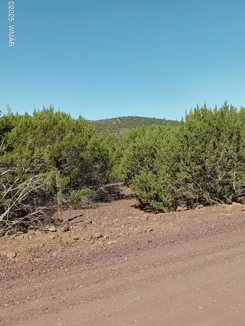 tbd County Road 3193 #LOT 258, Vernon, AZ 85940