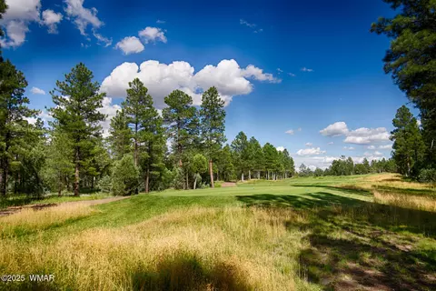 381 S Falling Leaf Rd, Show Low, AZ 85901 photo 47