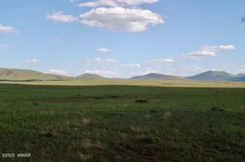 lot55 Concho Lakeland, Concho, AZ 85924