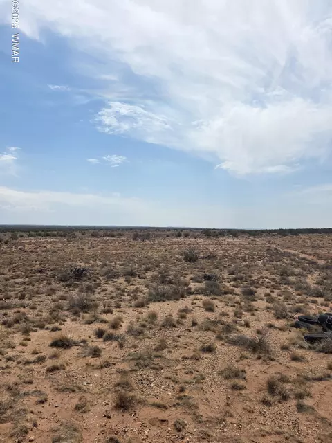 8317 Buckskin Trl, Snowflake, AZ 85937