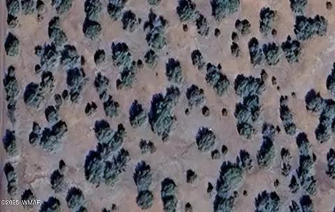 16 County Road 8136, Concho, AZ 85924