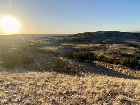 tbd Co Rd 5062 239 Acres, Concho, AZ 85924
