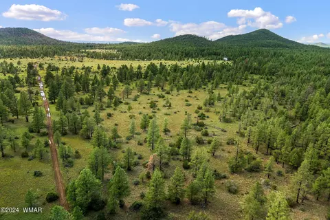 000 Dipping Vat Spring Fire Rd, Vernon, AZ 85940