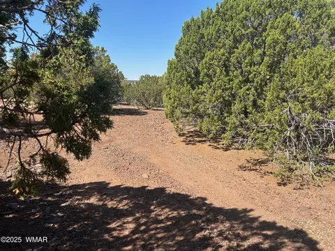 lot2 Stanford Dr, Vernon, AZ 85940