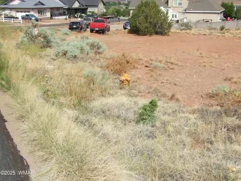 261 S Cedar Dr, Snowflake, AZ 85937 photo 5