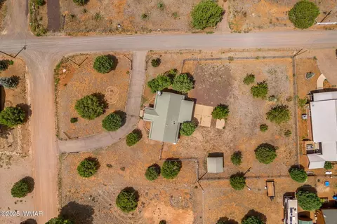 View/Area - 2208 Meadow Ln, Overgaard, AZ 85933 photo 5 of 6