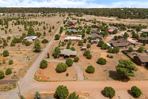 View/Area - 2208 Meadow Ln, Overgaard, AZ 85933 photo 2 of 6