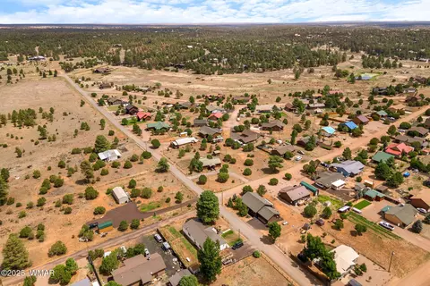 View/Area - 2208 Meadow Ln, Overgaard, AZ 85933 photo 3 of 6
