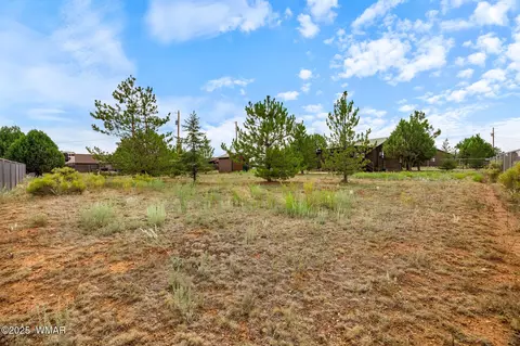 Exterior - 2208 Meadow Ln, Overgaard, AZ 85933 photo 14 of 14