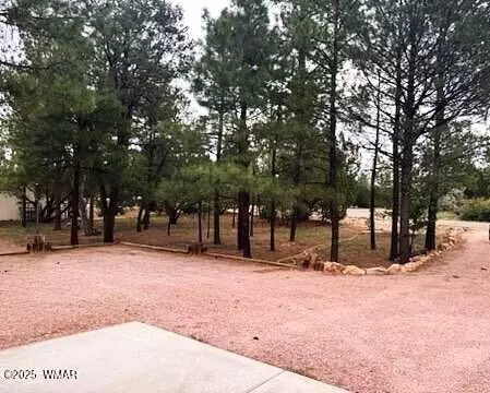 2978 Pine Rim Rd, Overgaard, AZ 85933 photo 5