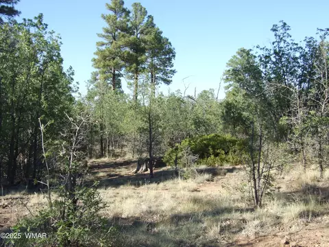 Parcel D Lamb Dr, Pinedale, AZ 85934