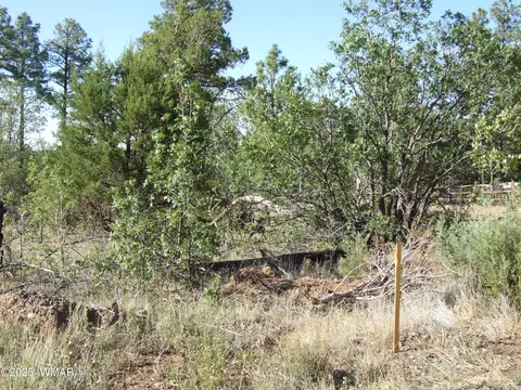 Parcel E Lamb Dr, Pinedale, AZ 85934 photo 6