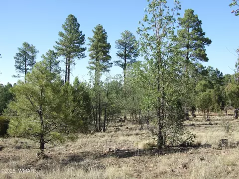 Parcel E Lamb Dr, Pinedale, AZ 85934 photo 5