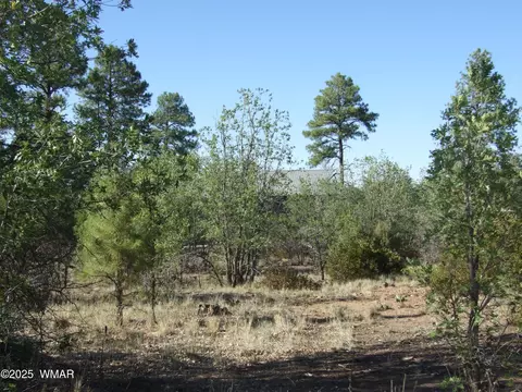 Parcel E Lamb Dr, Pinedale, AZ 85934 photo 2